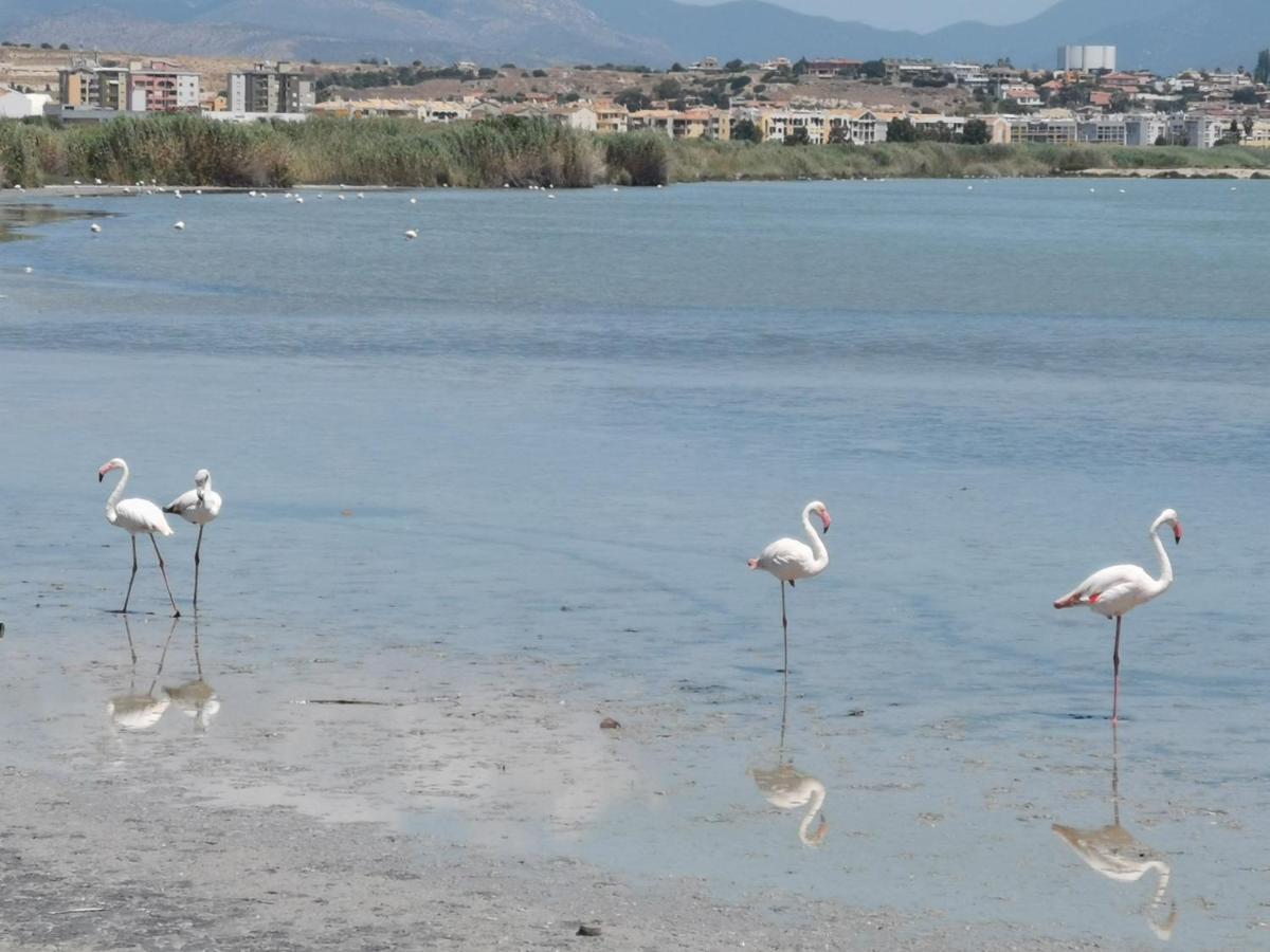 S'Alba Noa Ξενοδοχείο Quartu SantʼElena Εξωτερικό φωτογραφία
