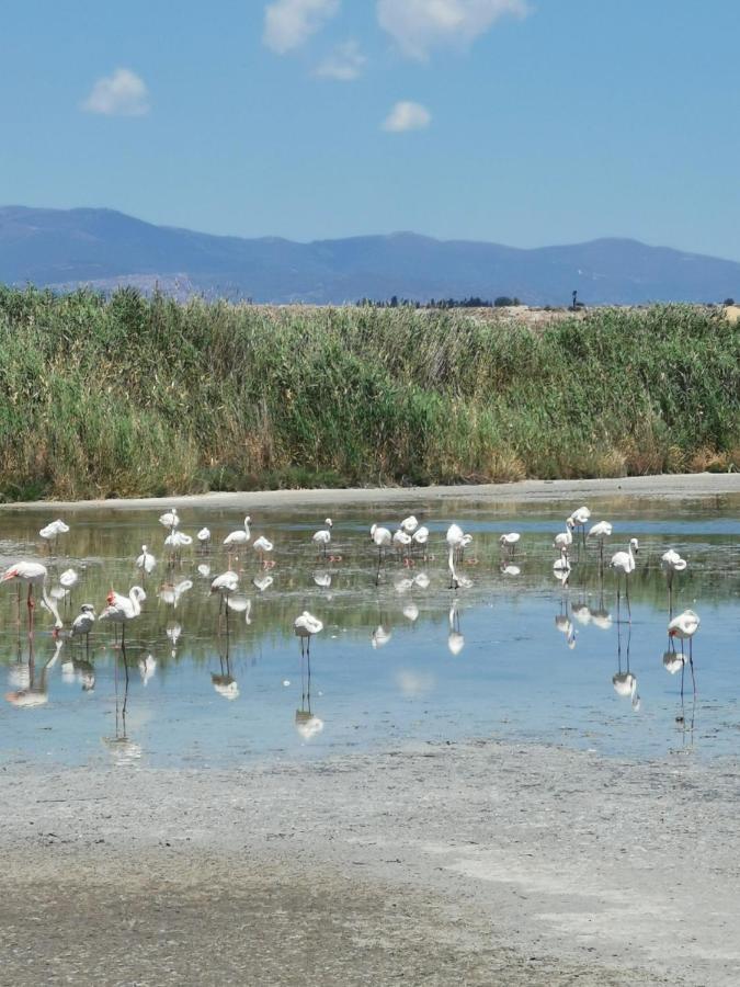 S'Alba Noa Ξενοδοχείο Quartu SantʼElena Εξωτερικό φωτογραφία